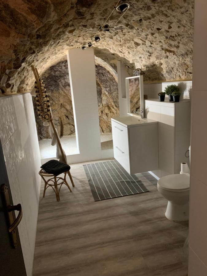 Appartement Cosy Le Balloon Avec Wifi Annonay Exterior photo